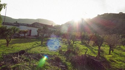 En Italia, como en España, todo gira en torno a la mesa." La importancia para los italianos de juntarse a cocinar y comer. Regla número uno de esta cultura. Comer bien de verdad. Disfrutar de la comida y alargar la comida hasta la tarde".