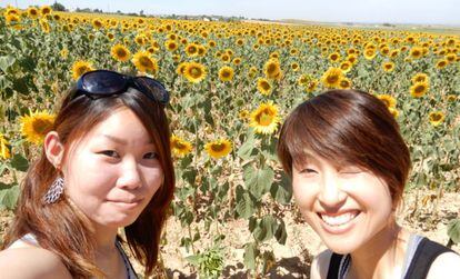 Mai Muraki (izquierda) y su amiga, en los campos de girasoles de Carmona.
