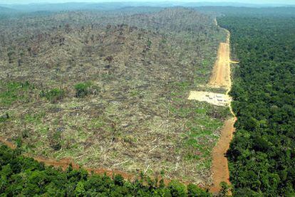 Vista aérea de una zona deforestada de la Amazonia, en Terra do Meio, Pará (Brasil).