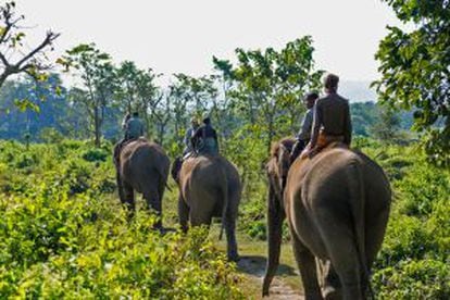 Safari con elefantes en el parque nacional de Chitwan, en Nepal.