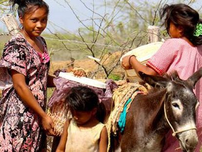 Los indígenas wayúu, en la Guajira, ya cuentan con acceso al vital elemento, pero en Latinoamérica 34 millones de personas aún no lo tienen
