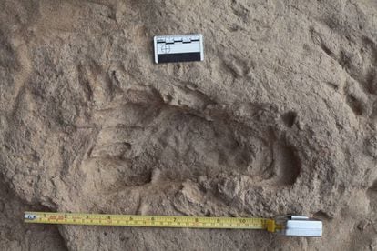 Pisada de 'Homo erectus' plasmada hace 1,5 millones de años en Ileret (Kenia).