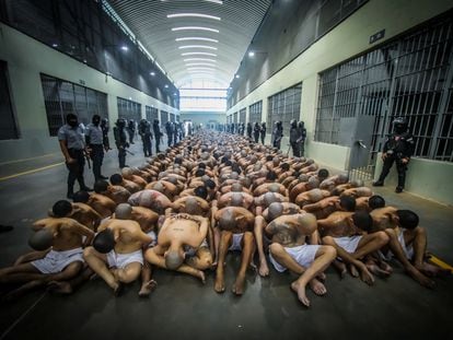 Pandilleros en el Centro de Confinamiento del Terrorismo, la nueva cárcel inaugurada por Nayib Bukele en Tecoluca, El Salvador.