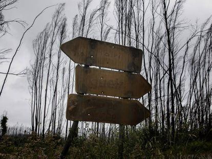 Las cenizas aún queman en Portugal