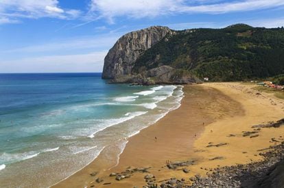 Aunque en verano es preciso aparcar a casi dos kilómetros, a nadie arredra esta beldad encastrada en el cabo de Ogoño, reina de las playas de la reserva de la biosfera de Urdaibai.