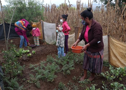 La familia Mejía en su huerto.