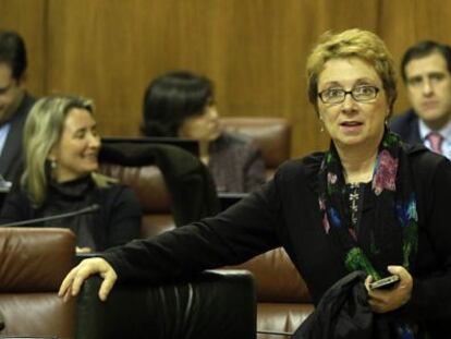 Camen Mart&iacute;nez Aguayo, en su esca&ntilde;o en el Parlamento. Detr&aacute;s, la diputada del PP Carolina Fern&aacute;ndez Vigo.