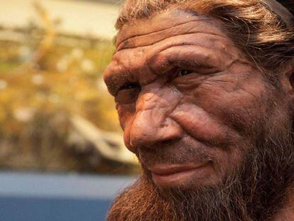 Reconstrucción de un neandertal en el Museo de Historia Natural de Londres.