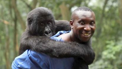 Andre Bauma, uno de los cuidadores del hospicio de gorilas de montaña de Rumangabo.