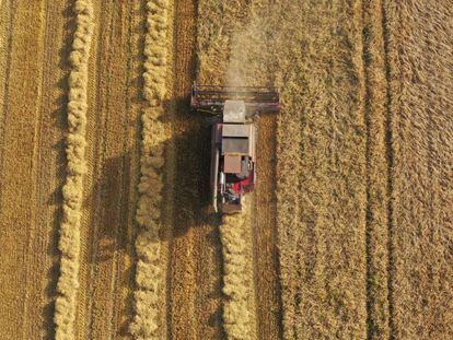 Socimis agrícolas para atraer la inversión a la España vaciada