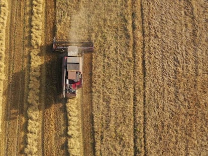 Socimis agrícolas para atraer la inversión a la España vaciada