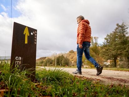 Camino Olvidado: el renacimiento de 680 kilómetros de naturaleza