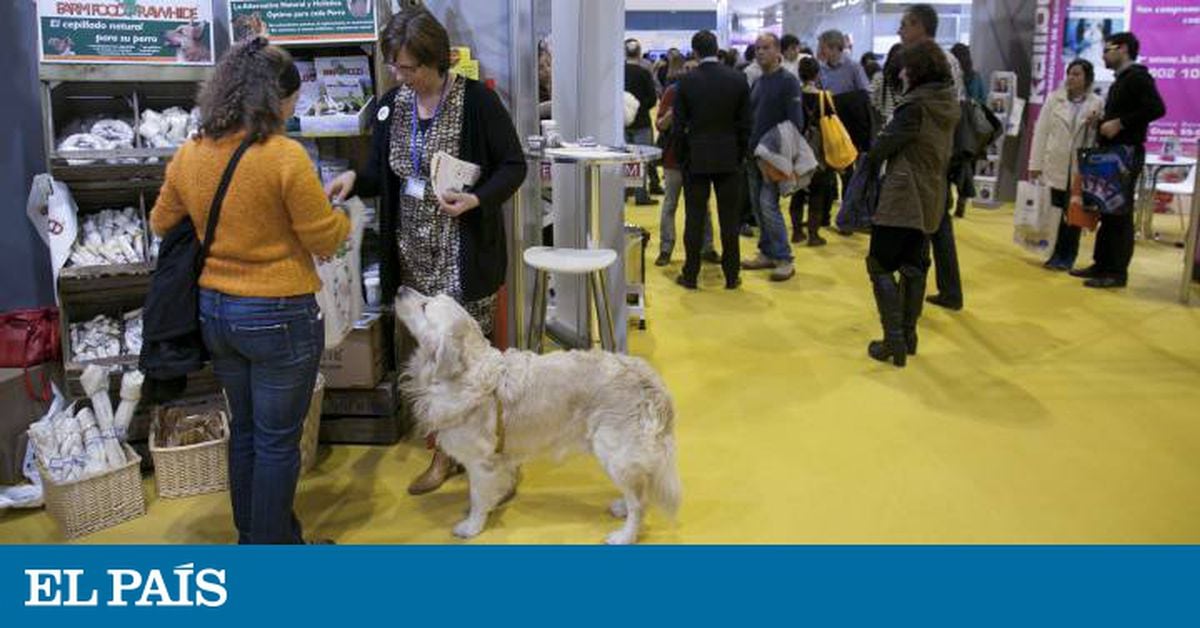 sector las mascotas factura España más de 1.000 millones | Economía | PAÍS