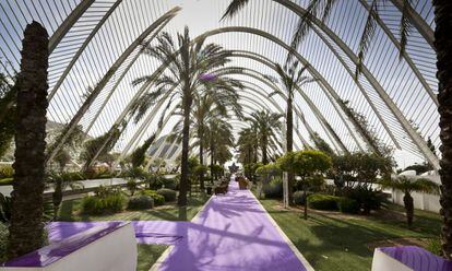 L´Umbracle, paseo mirador sobre l´Hemisfèric y el Museo de la Ciencias Príncipe Felipe. La mitad es ahora un lugar de copas.