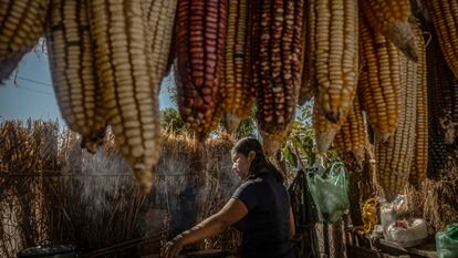 Indígenas wixarikas en la comunidad de El Roble, Nayarit.