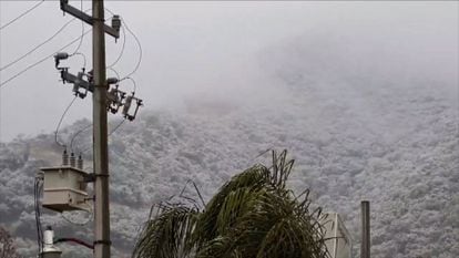 Un cerro cubierto de nieve en la localidad de Santiago, en Nuevo León.