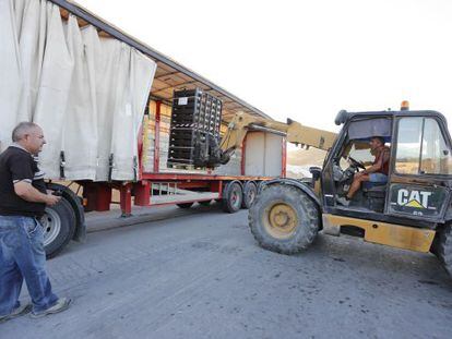 Un operario carga un cami&oacute;n con tomates destinados a la exportaci&oacute;n. 