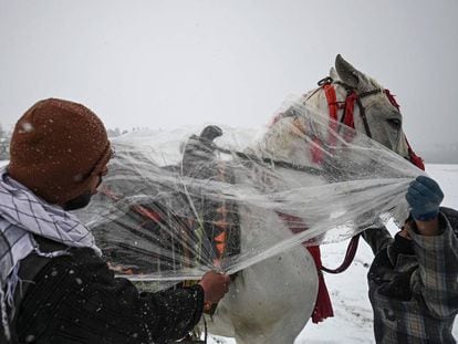 Dos hombres cubren su caballo durante una nevada en Kabul (Afganistán).