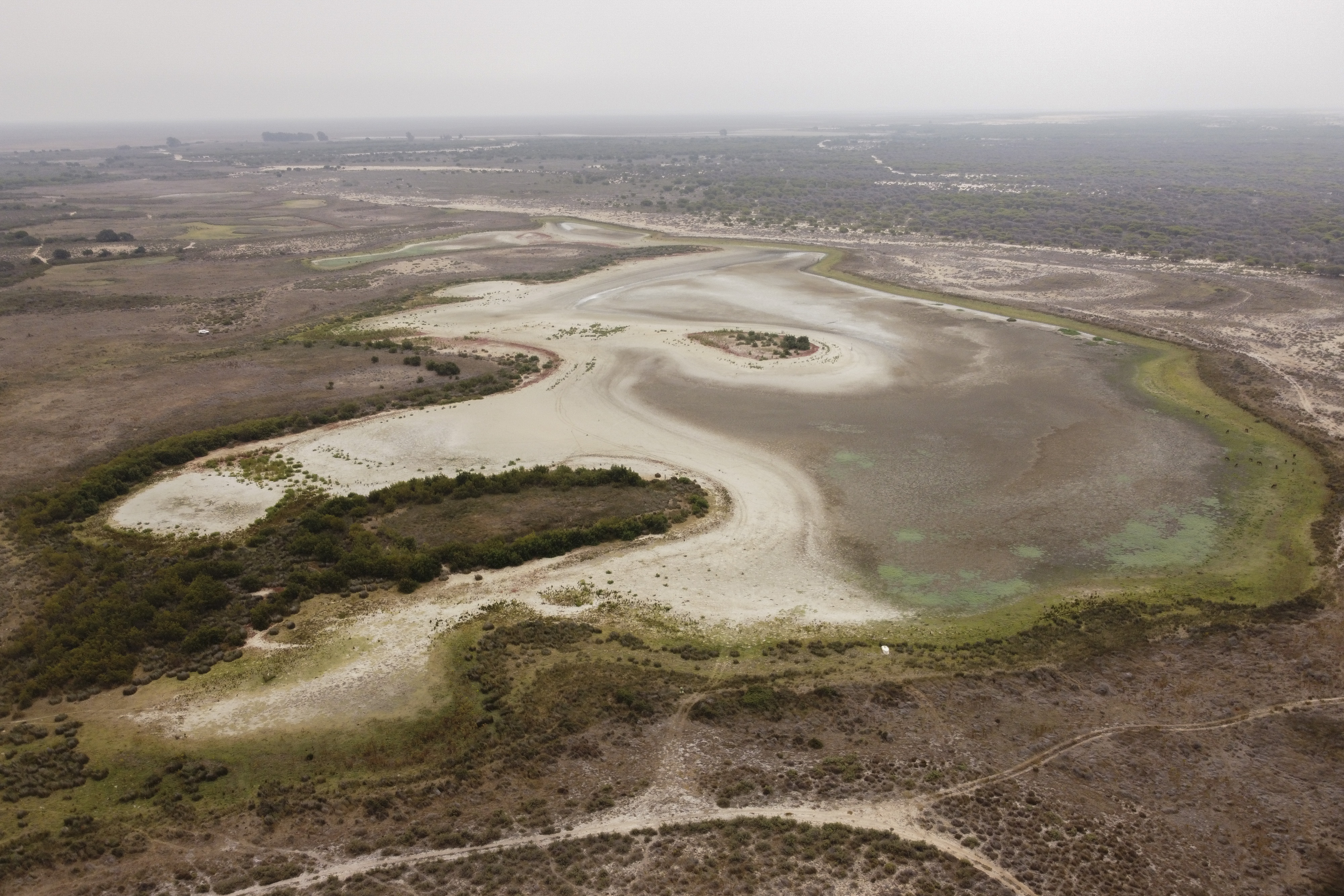 Doñana Unesco