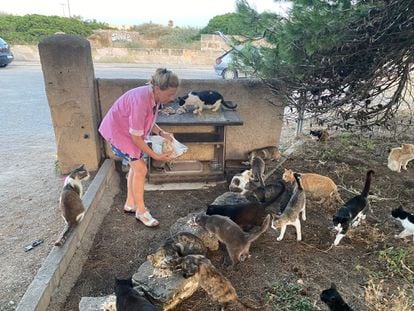Asunción Capllonch alimentando a un grupo de gatos en Colonia de Sant Jordi (Mallorca).