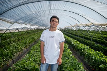 Abdelaziz Zeriouh, un joven marroquí de 20 años, ha vuelto a los campos onubenses para recoger frutos rojos, aunque su objetivo es ser carpintero. 