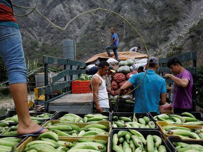 Trabajadores transportan vegetales, en La Grita (Venezuela).