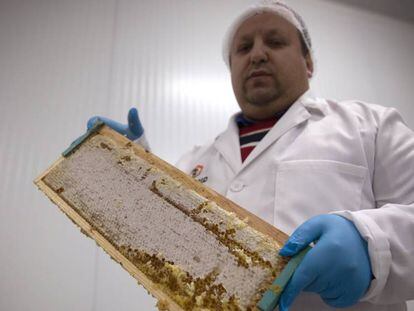El apicultor Iván del Río muestra los procesos de extracción y etiquetado en su empresa Madrid Miel.