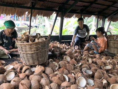 Mujeres en una aldea en Kalimantan occidental, Indonesia, cuyos medios de vida y seguridad alimentaria se han visto afectados por la expansión de una plantación de palma en su tierra.