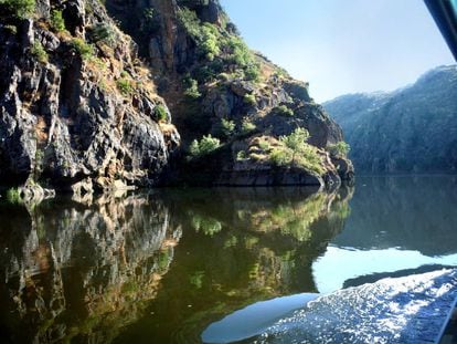 Un crucero fluvial por el río Duero en Portugal. 