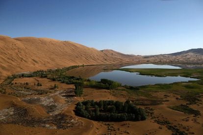 Un oasis en el desierto de Gobi, Mongolia.