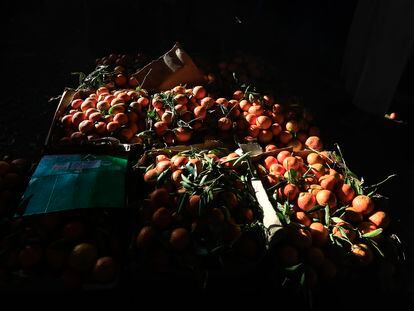 Naranjas en un mercado de Saná (Yemen), el 14 de diciembre.