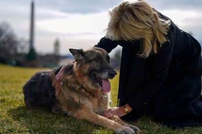 La primera dama de EE UU, Jill Biden, con su perro 'Champ' a las afueras de la Casa Blanca el 24 de enero de 2020.