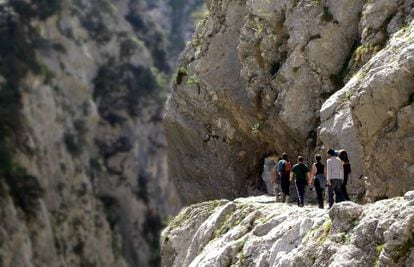 Senderistas en la ruta de la garganta del Cares, entre Caín (León) y Poncebos (Asturias), en el parque nacional de los Picos de Europa.