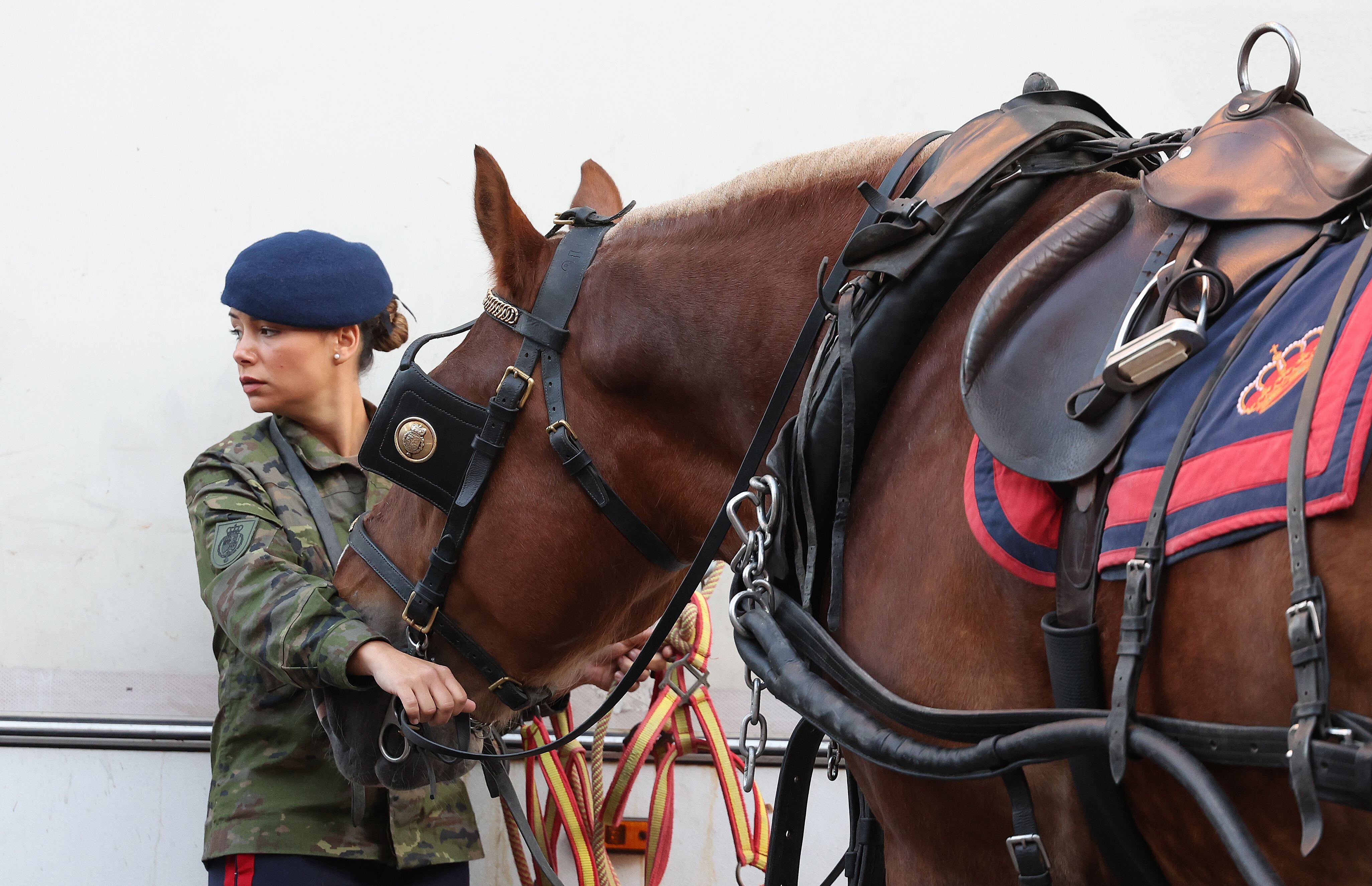 Una integrante de la Guardia Real preparaba el caballo para desfilar.