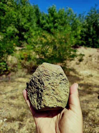 One of the stone tools found at the Ukrainian site.