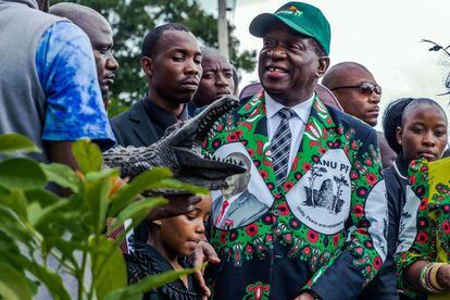 El presidente de Zimbabue, Emmerson Mnangagwa recibe el saludo del cocodrilo "Ngwena" tras plantar un arbol durante una conferencia extraordinaria del Zanu-PF, el partido del gobierno, en Harare, el 15 de diciembre de 2017. 