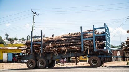 Un camión transporta troncos en una carretera de Elburgon, cerca de la ciudad de Nakuru.