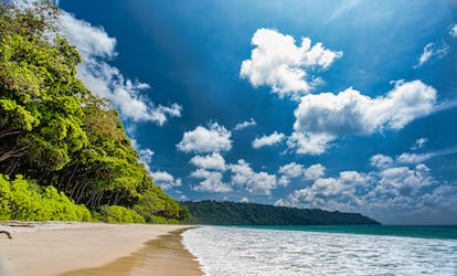 Radhanagar (Isla Havelock, India). Arropada por una lujuriante vegetación tropical, este remoto arenal semisalvaje en las islas de Andamán y Nicobar, en el golfo de Bengala, tiene su mejor momento entre los meses de octubre y febrero, tras el monzón.