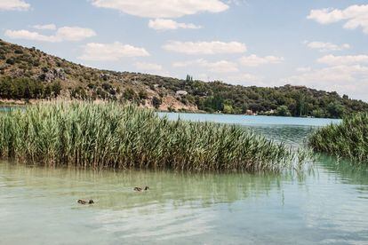 El parque natural de las Lagunas de Ruidera representa, junto con Plividje en Croacia, el mejor ejemplo de lagos formados por la acumulación de carbonato cálcico (toba). Dieciséis lagunas se suceden, escalonadamente, sobre una superficie de 4.000 hectáreas en mitad del Campo de Montiel, en el límite de las provincias de Albacete y Ciudad Real. Formando un espectacular oasis de cascadas y torrentes desde los primeros manantiales en la Laguna Blanca hasta las lagunas bajas y el pantano de Peñarroya. Habitado por rapaces y aves acuáticas como el somormujo, que construye sus nidos flotantes en sus aguas.