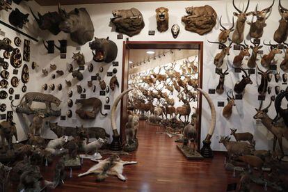 Vista del pabellón de caza internacional de Marcial Gómez Sequeira en su casa de La Moraleja.