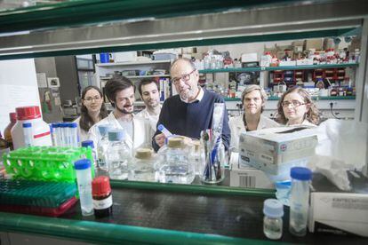 Ernest Giralt con parte de su equipo en su laboratorio del Institut de Recerca Biomedica de Barcelona (IRB). 