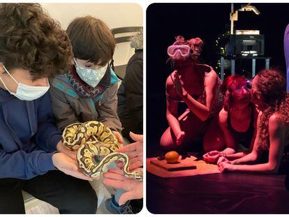 La actividad Encuentro con Reptiles en Insectpark y la obra de teatro 'En busca de la isla basura'