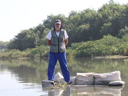 El biólogo Mario Moscatelli, en las aguas contaminadas de las lagunas cariocas.