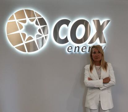 Ha sido nombrada vicepresidenta corporativa de Grupo Cox Energy. Ha desarrollado buena parte de su carrera en Naturgy, empresa en la que ocupó durante 24 años diversos cargos de responsabilidad.