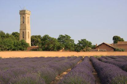 Terrenos de la Dehesa de Los Llanos, en Albacete, propiedad del Grupo Mazacruz.