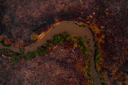 Imagen aérea de una zona quemada en el Pantanal, en Mato Grosso (Brasil), el pasado septiembre.