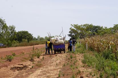 El mototaxi es el transporte más popular y práctico de Bobo-Dioulasso. El conductor pasa la jornada haciendo viajes con sacos de judías hasta su casa, donde las mujeres esperan para separar las hojas del grano. En este caso, es Solange Traoré quien paga, de su propio bolsillo, el servicio.