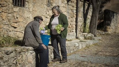 Invertir en la España vaciada: reavivar la economía rural y obtener rentabilidad