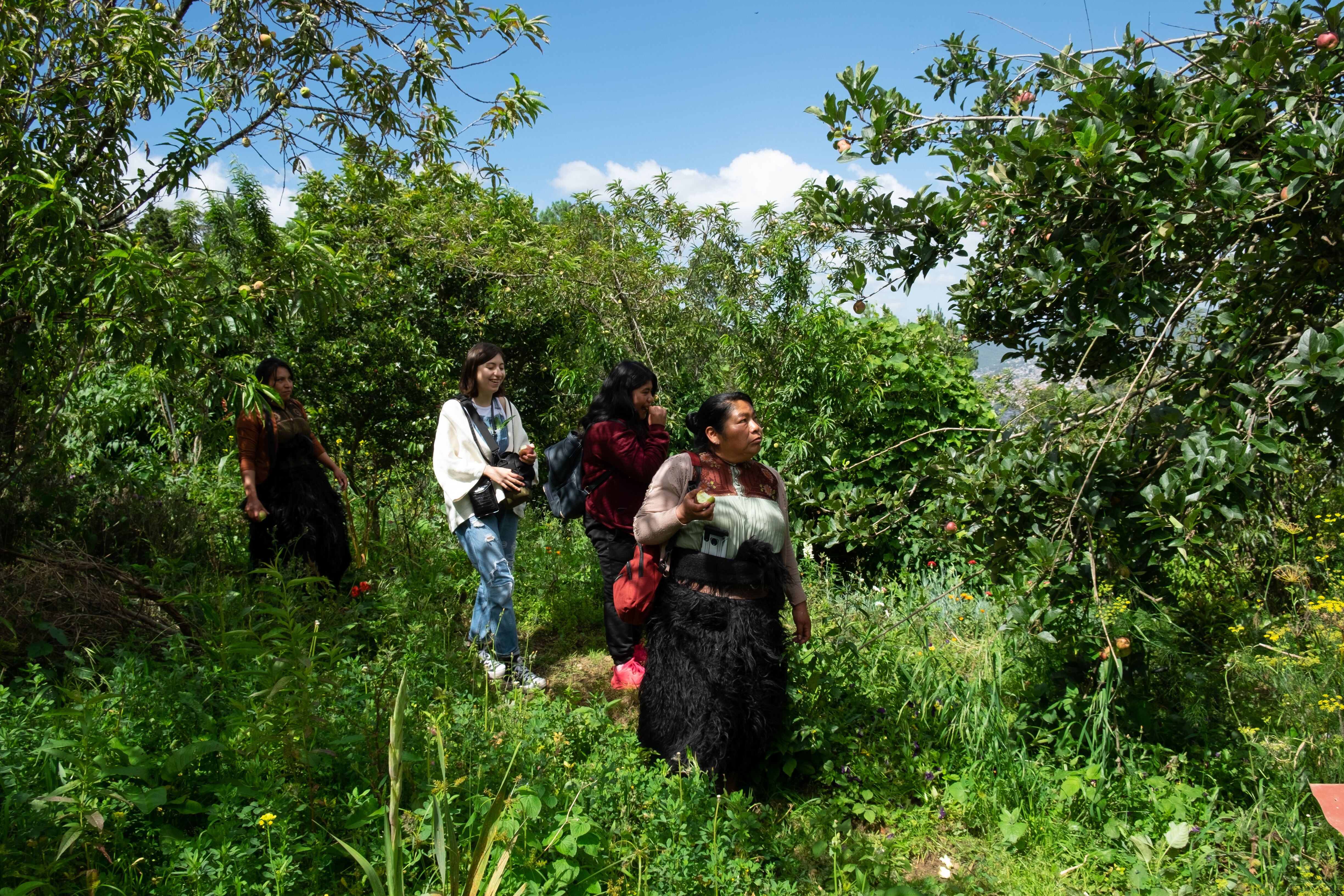 Las mujeres del Taller Leñateros pasean en el huerto de Paulina, quien cosechas las flores pensamiento para elaborar el papel artesanal.
