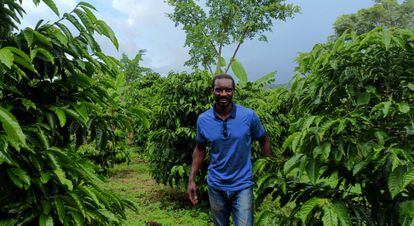 El productor de café Stephan Katongole en su plantación de Sembabule (Uganda).
